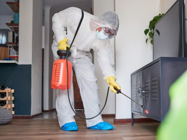 Przed i po dezynfekcji mieszkania — jak przygotować lokal i kiedy wrócić